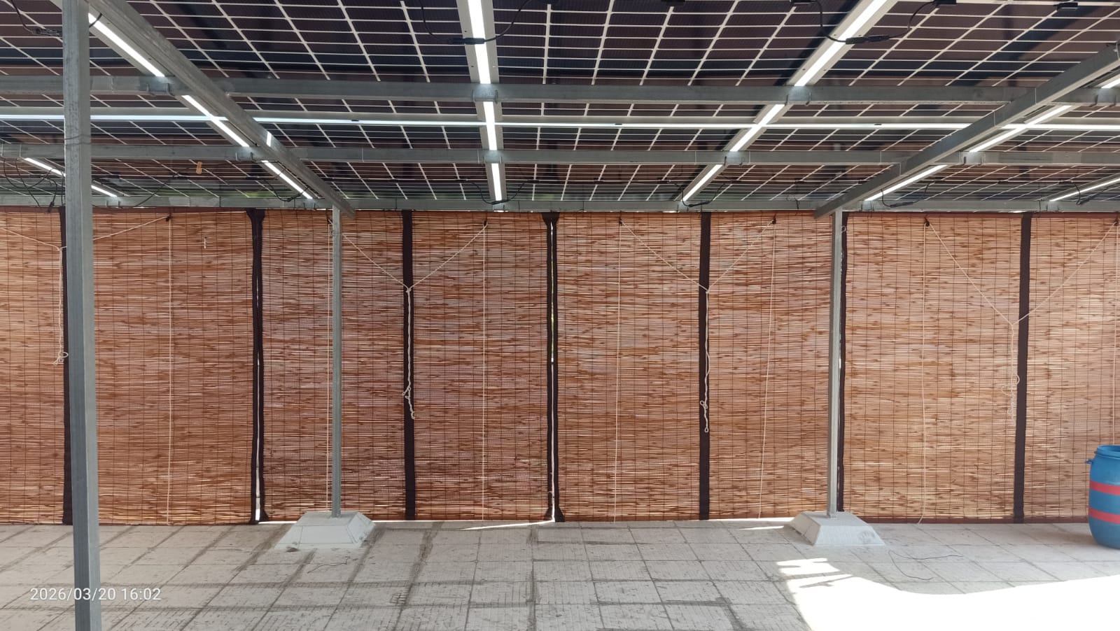 Fragrant Khus blinds